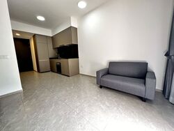 Park Colonial (D13), Condominium #634748761